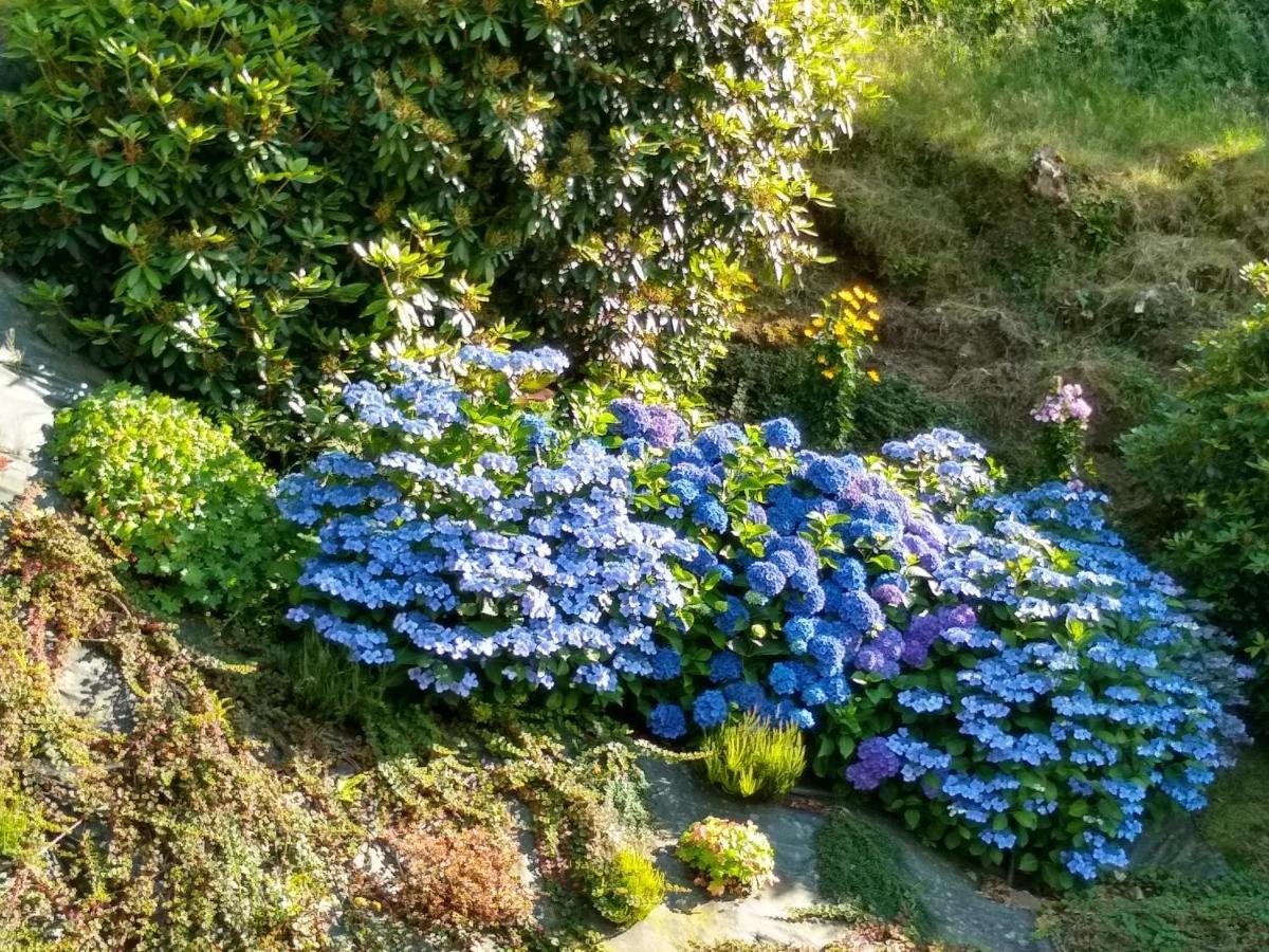Les Hortensias La Poultiere Bagian luar foto